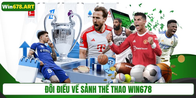 Đôi điều về sảnh thể thao WIN678